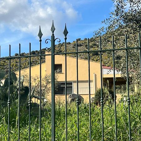 فيلا Via Delle Rose Torretta  المظهر الخارجي الصورة